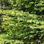 Konsten att kommunicera i media